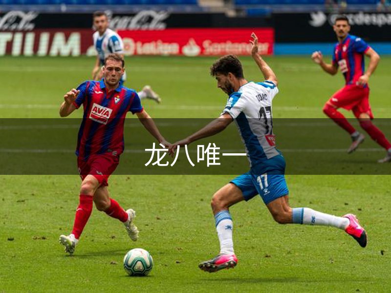 公司价值观